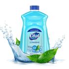 Dial Spring Water Refill Liquid Hand