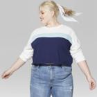 Women's Plus Size Striped Long Sleeve Skater T-shirt - Wild Fable Turquoise
