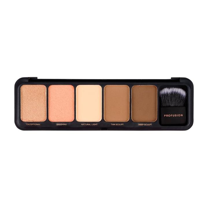 Profusion Cosmetics Contour Ii Make Up Case