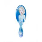 Wet Brush Frozen 2 Brush Elsa - 1ct, Purple Grace
