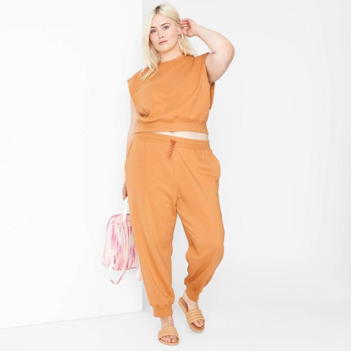 Women's Plus Size High-rise Jogger Sweatpants - Wild Fable Brown