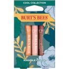 Burt's Bees Kissable Color Cool Gift