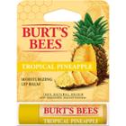 Burt's Bees Lip Balm - Pineapple