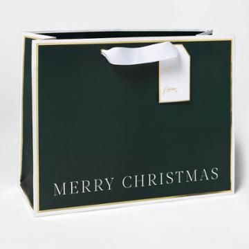 Sugar Paper Green Merry Christmas Large Vogue Gift Bag -