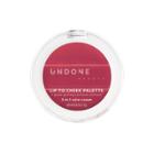 Undone Beauty Lip To Cheek 3-in-1 Cream Tint - Poppy
