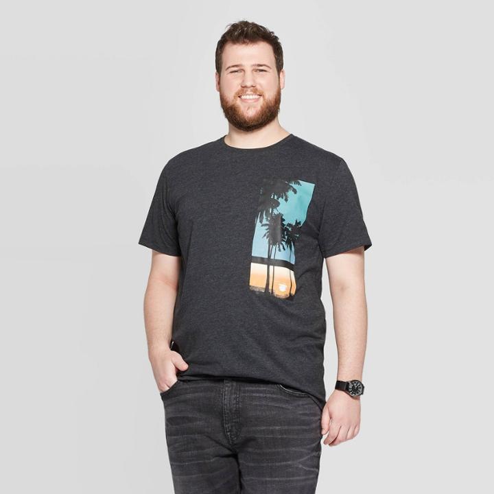 Men's Tall Standard Fit Short Sleeve Palm Sunset Crew Neck Graphic T-shirt - Goodfellow & Co Gray Mt,