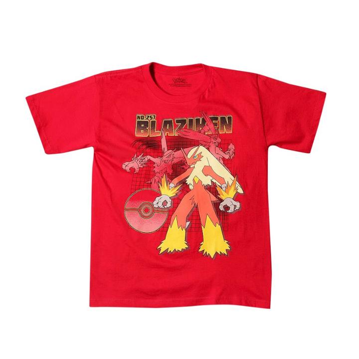 Boys' Pokemon Blaziken Short Sleeve T-shirt - Red