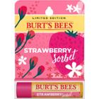 Burt's Bees Lip Balm - Strawberry Sorbet
