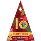 Burt's Bees A Bit Of Burt's Beeswax Gift Set