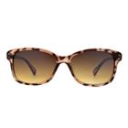 Women's Cateye Sunglasses- A New Day Brown