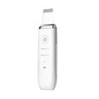 Vanity Planet Essia Ultrasonic Lifting & Exfoliating Wand