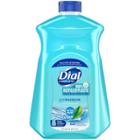 Dial Complete Antibacterial Liquid Hand Soap Refill - Spring Water