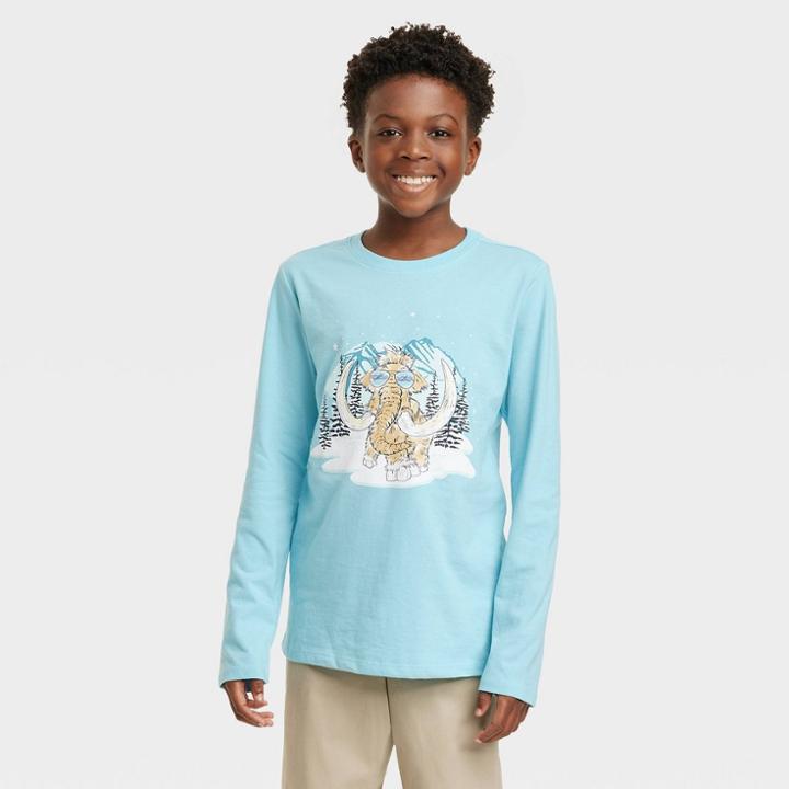 Boys' 'winter Wholly Mammoth' Long Sleeve Graphic T-shirt - Cat & Jack Aqua Blue
