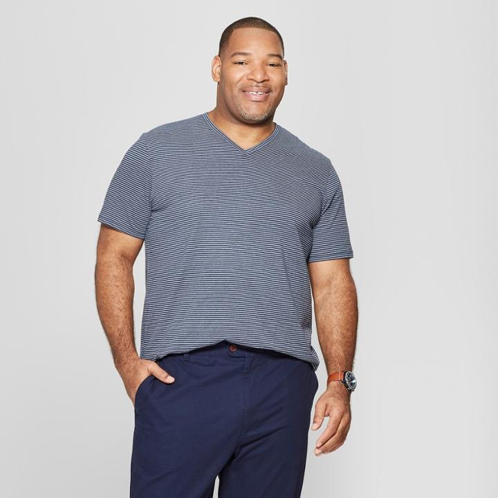 Men's Tall Striped Regular Fit Short Sleeve Novelty V-neck T-shirt - Goodfellow & Co Subdued Blue