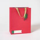Bamboo Gift Bag Red - Ig Design Group