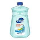 Dial Coconut Mango Refill