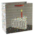 Spritz Hooray Cake Cub Gift Bag -