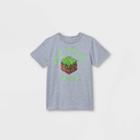 Boys' Minecraft Earth Day Short Sleeve Graphic T-shirt - Gray