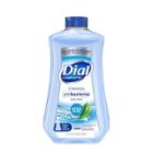 Dial Complete Antibacterial Foaming Hand Wash Refill - Spring Water
