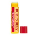 Burt's Bees Holiday Peppermint With Beeswax Peppermint Extracts Lip Balm And Treatment
