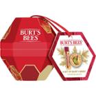 Burt's Bees A Bit Of Pomegranate And Lemon Butter Cuticle Cream Skin Care Gift Collection