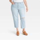 Women's Plus Size High-rise Vintage Straight Jeans - Universal Thread