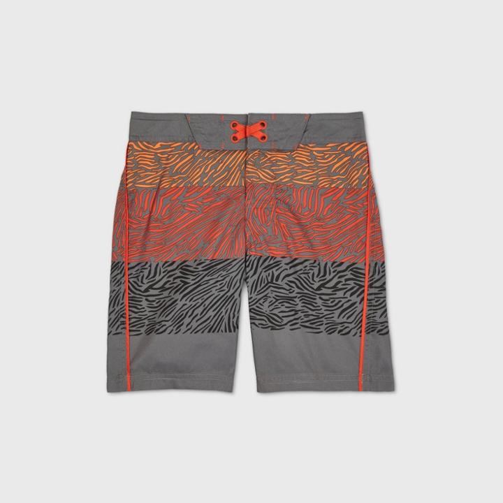 Boys' Animal Colorblock Swim Trunks - Art Class Gray