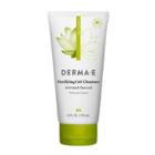 Derma E Purifying Gel Cleanser