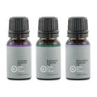 Made By Design 10ml 3pk Essential Oil Relax Set Lavender/balsam Fir/ Relax Blend -
