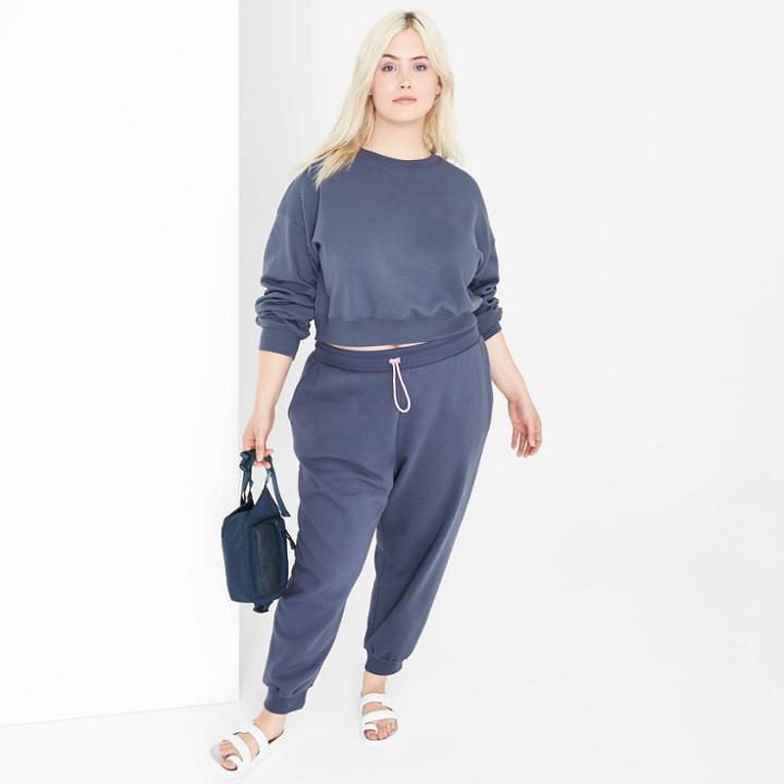 Women's Plus Size High-rise Jogger Sweatpants - Wild Fable Blue