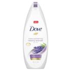 Target Dove Relaxing Lavender Body Wash