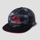 Kids' Jurassic World Baseball Hat - Gray, Kids Unisex