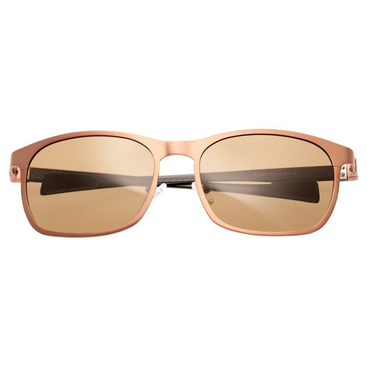 Breed Men's Halley Polarized Sunglasses With Titanium Frame And Carbon Fiber Arms - Brown/brown