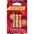 Burt's Bees Kissable Color Kit - Warm Collection