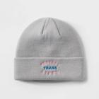 Pride Ph By The Phluid Project Adult 'protect Trans Lives' Beanie - Heather Gray