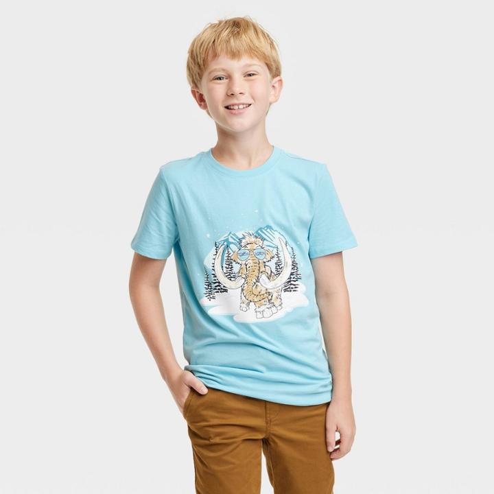 Boys' 'winter Wholly Mammoth' Short Sleeve Graphic T-shirt - Cat & Jack Aqua Blue