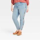 Women's Plus Size Mid-rise Embroidered Skinny Jeans - Knox Rose