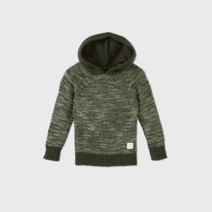 Toddler Boys' Hooded Pullover Sweater - Art Class Green