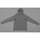 Hanes Premium Hanes Men's Hooded Athletic Pullover - Light Gray Heather