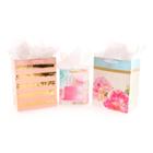 3ct Gift Bag Bundle With Tissue Paper Pink/gold - Hallmark,