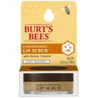 Burt's Bees Natural Conditioning Lip Scrub With Exfoliating Honey Crystals