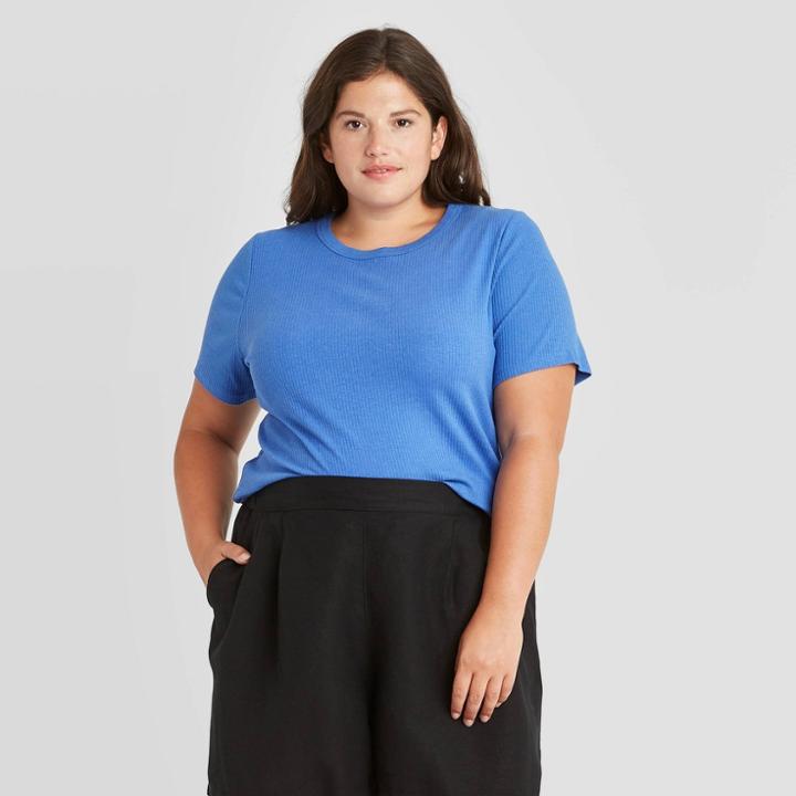 Women's Plus Size Short Sleeve Rib T-shirt - A New Day Blue
