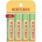 Burt's Bees Lip Balm Set - Cucumber