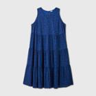 Women's Plus Size Leopard Print Sleeveless Tiered Dress - A New Day Blue