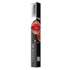 Covergirl Colorlicious Farewell Feathering Lip Liner 100 Clear