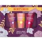 Burt's Bees Squeezy Trio Gift