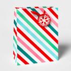Large Diagonal Striped Cub Gift Bag - Wondershop