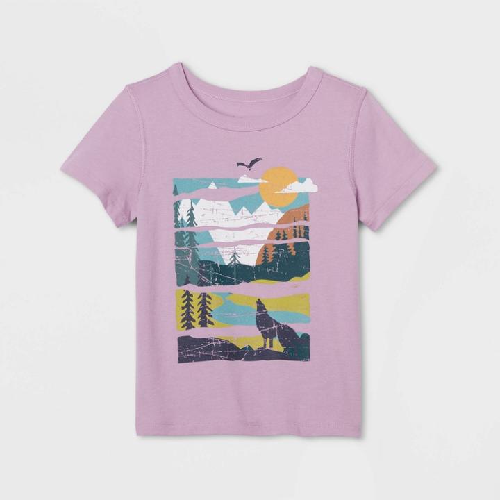 Toddler Adaptive 'outdoor' Short Sleeve Graphic T-shirt - Cat & Jack Dusty Purple