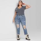 Women's Plus Size Short Sleeve V-neck Baby T-shirt - Wild Fable Gray