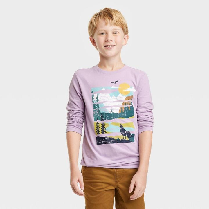 Boys' 'scenic Mountain Painting' Long Sleeve Graphic T-shirt - Cat & Jack Purple